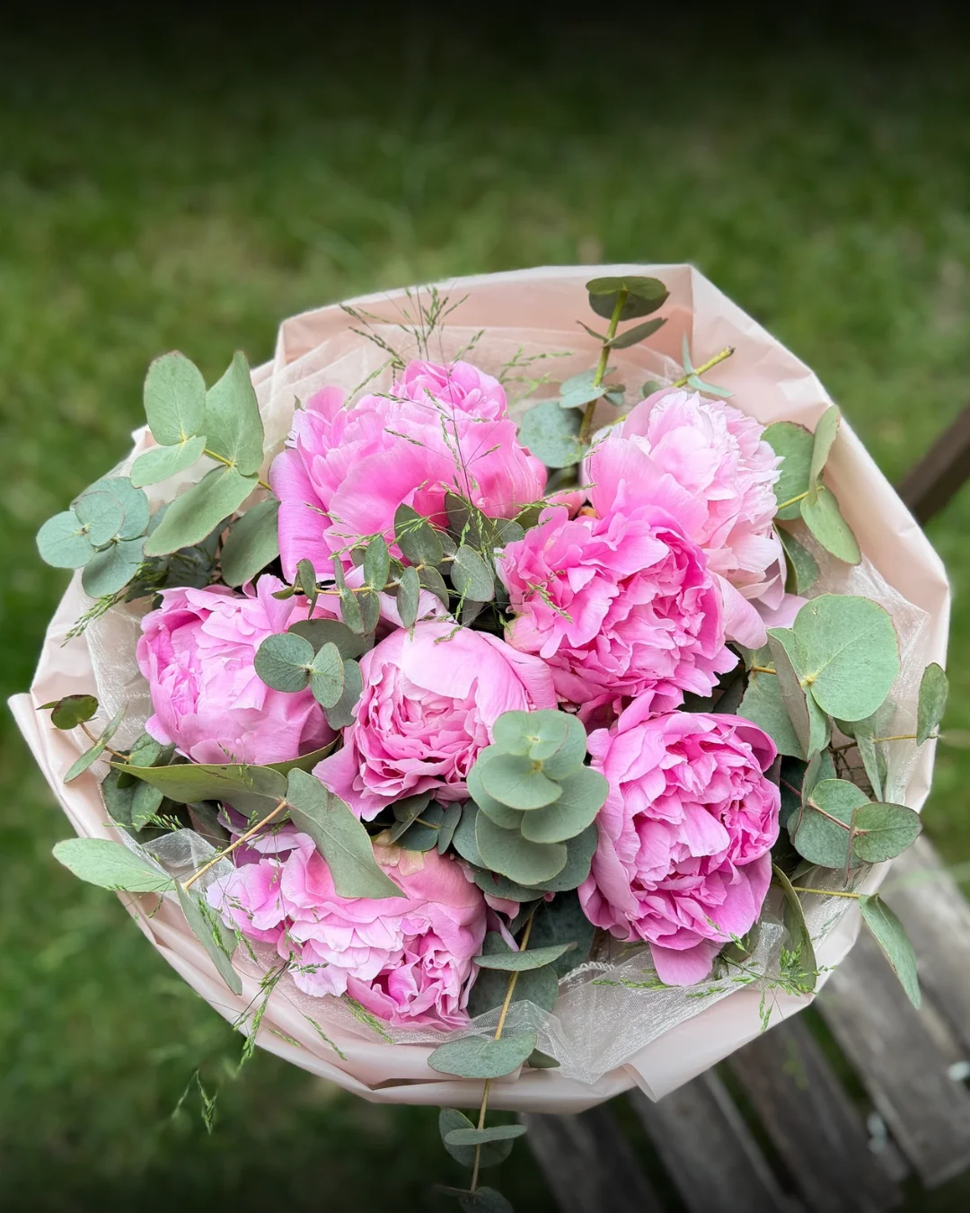 Ružové pivonky s eukalyptom — Flowermat